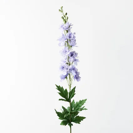 Delphinium Lavender 90cm