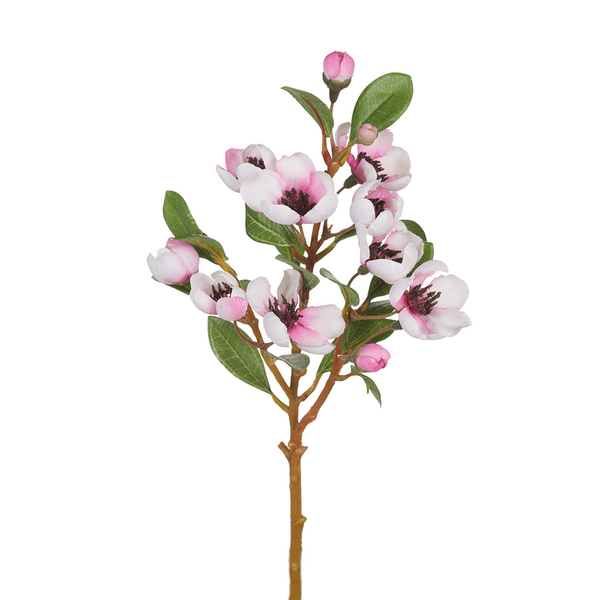 Branch Apple Blossom