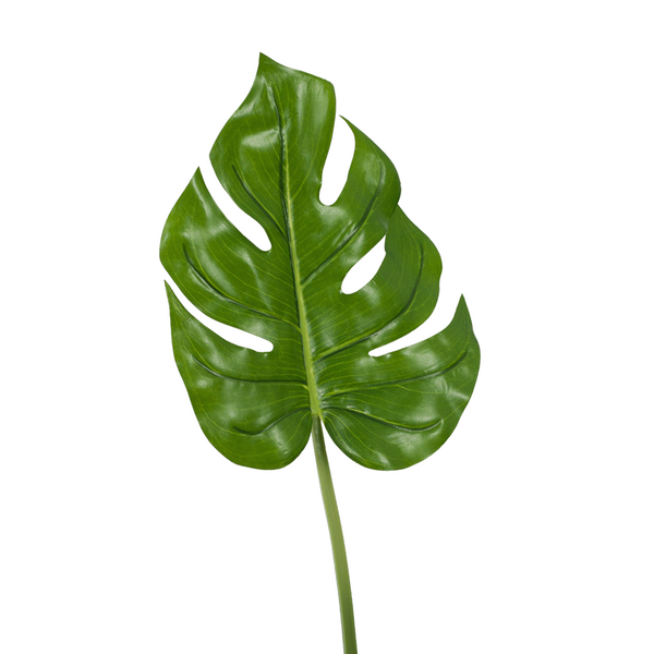 Monstera Leaf. 58cm