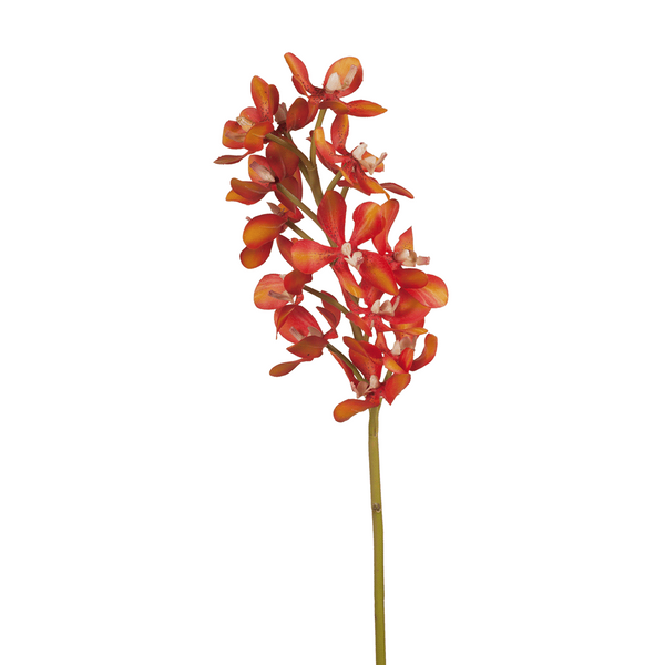 Orchid Vanda Burnt Orange Stem 69cm